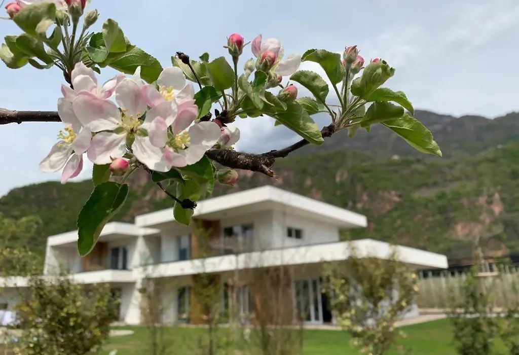 Pitla Cuna - Eco Relais-1